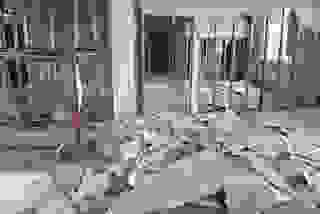 Снятие ковролина в в Златоусте - цены на демонтаж от 265 рублей | Сварной-Злт 2025 г. Челябинской области
